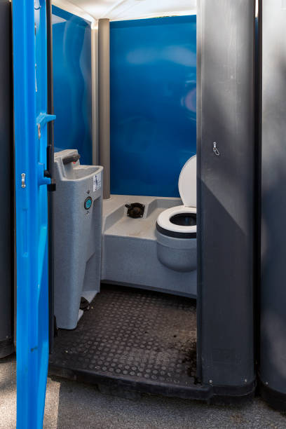 Best Sanitation services for porta potties  in Lakeview, NY